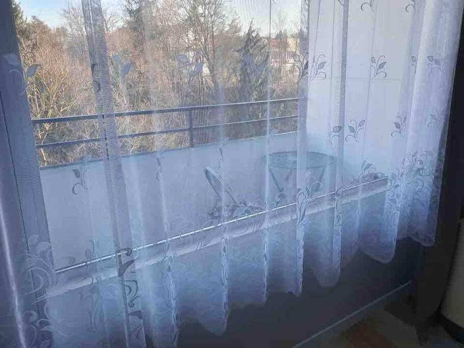Apartment 55 I Cental Hof I Wifi I Tv Kültér fotó